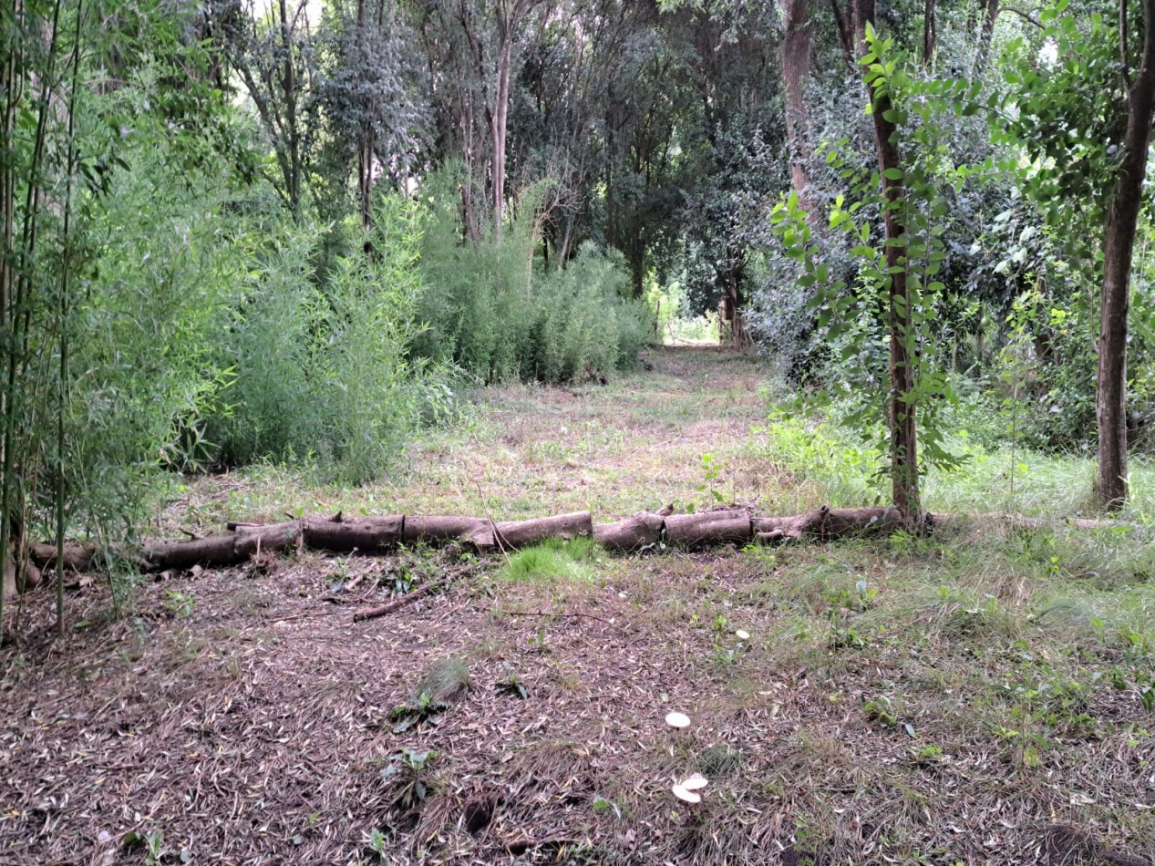 Amplio terreno con pileta en Villa Urquiza, Entre Rios