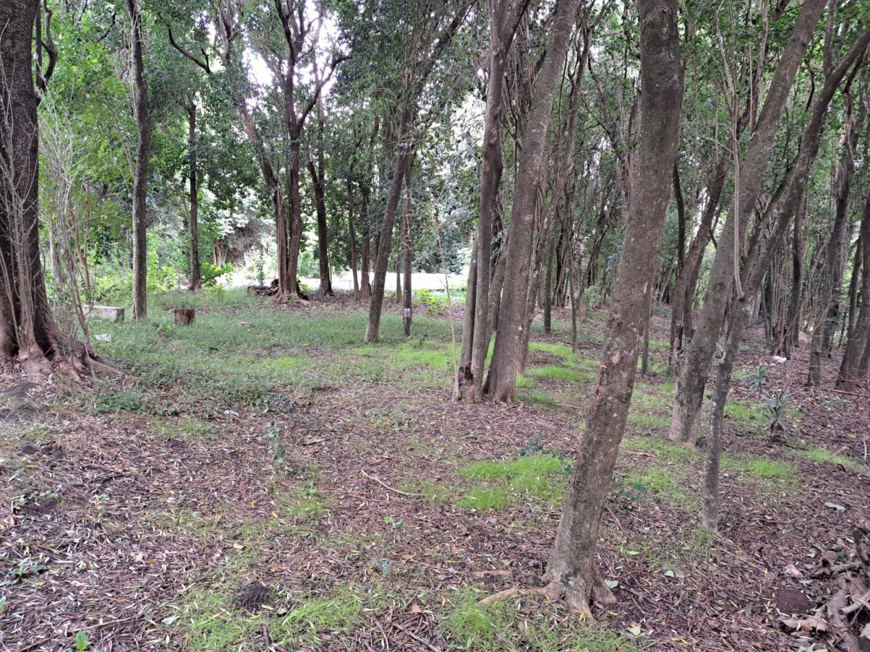 Amplio terreno con pileta en Villa Urquiza, Entre Rios