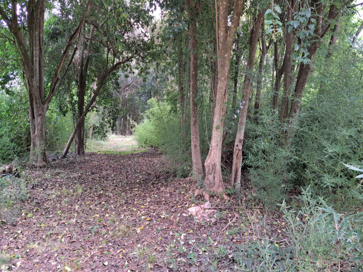 Amplio terreno con pileta en Villa Urquiza, Entre Rios