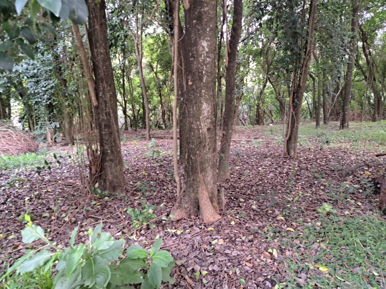 Amplio terreno con pileta en Villa Urquiza, Entre Rios