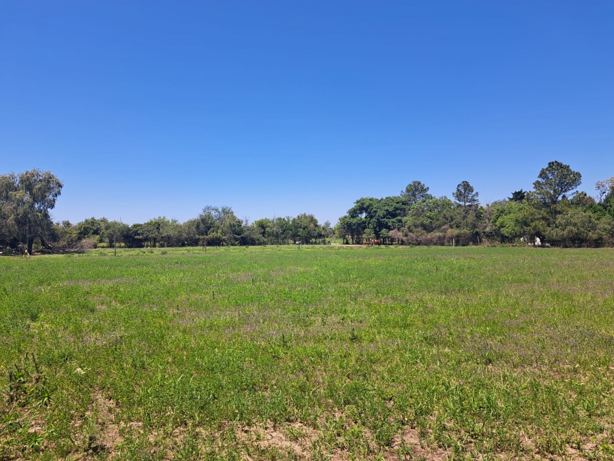 Amplisimo terreno en Villa Urquiza 9644m2 o fraccion. Ideal emprendimiento turistico o fines de semana