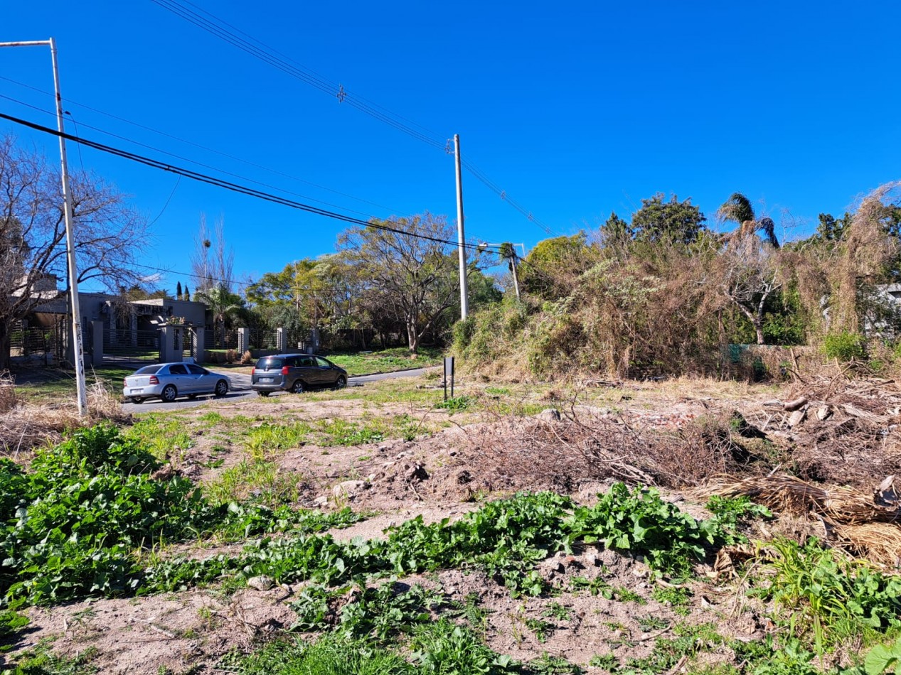 Amplio terreno en calle Echeverria al 2100