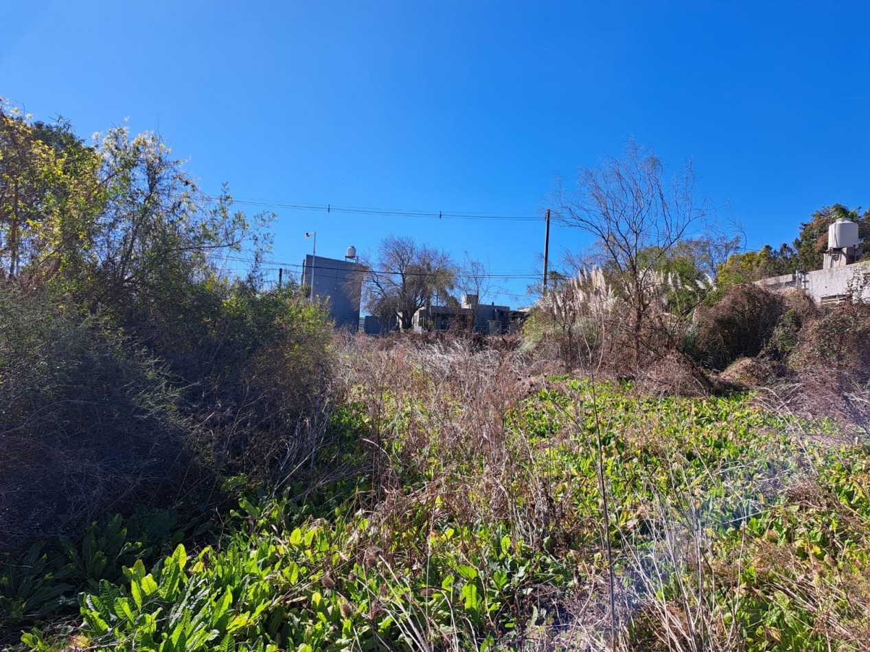 Amplio terreno en calle Echeverria al 2100