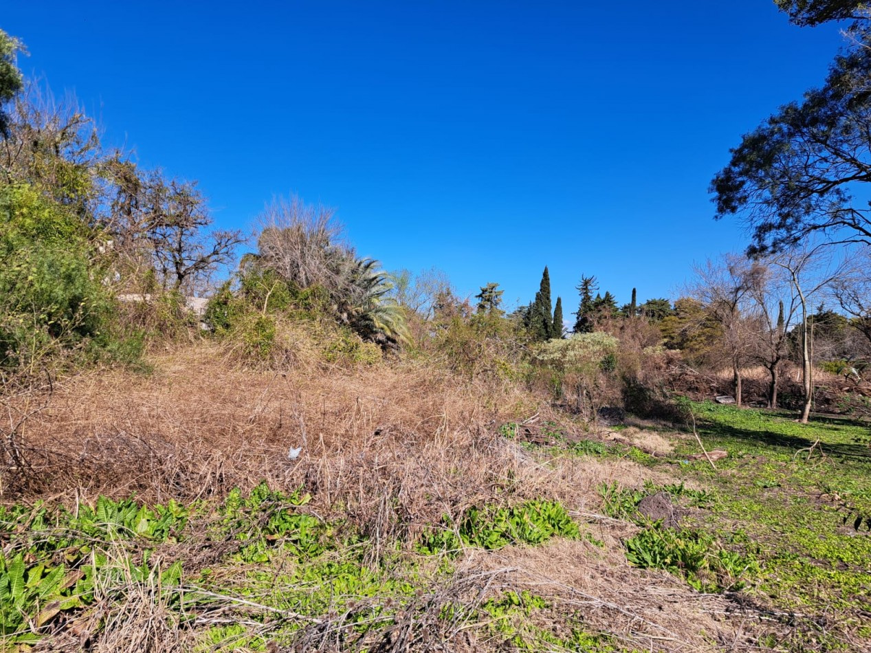 Amplio terreno en calle Echeverria al 2100