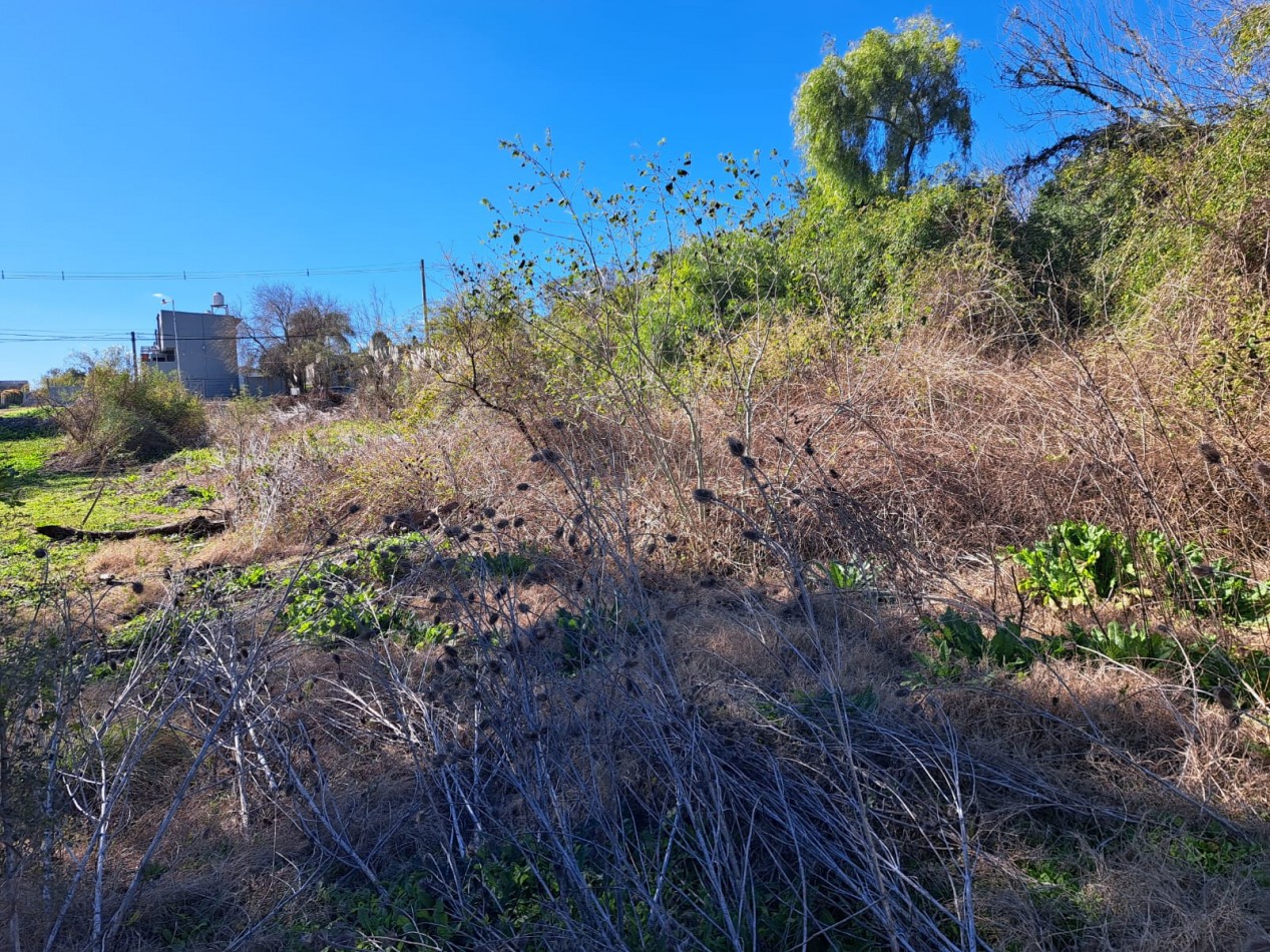 Amplio terreno en calle Echeverria al 2100