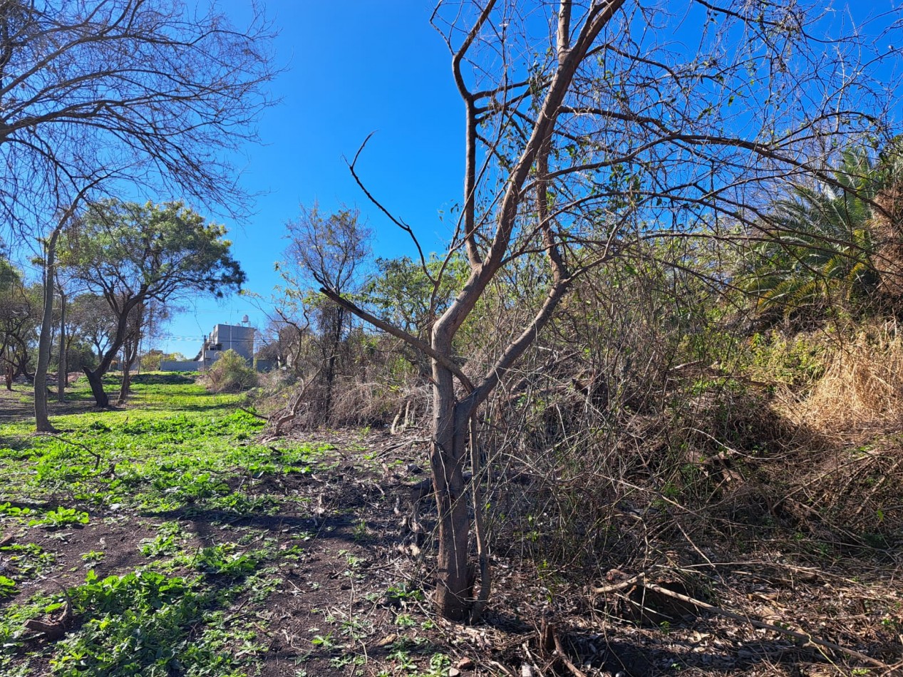 Amplio terreno en calle Echeverria al 2100