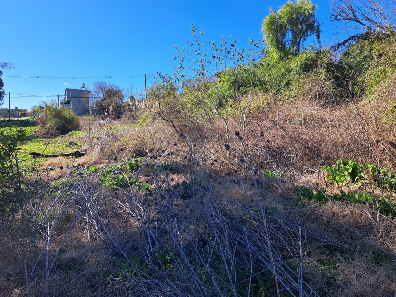 Amplio terreno en calle Echeverria al 2100