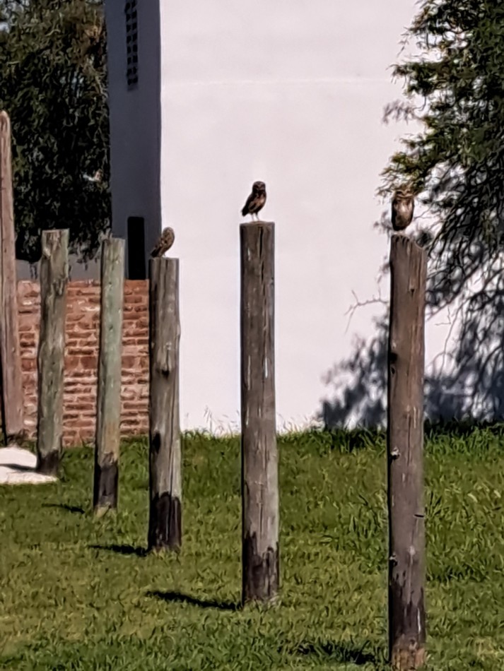 Casa quinta en Colonia Nueva Villa Urquiza