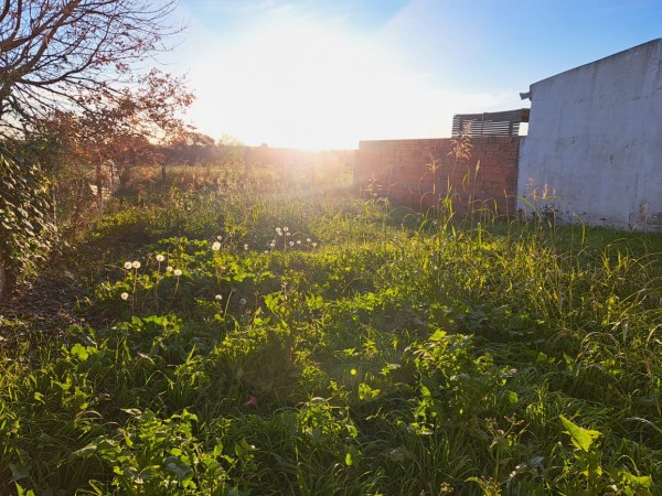 Casa 2 dormitorios, amplio garage y patio en Colonia Nueva Villa Urquiza