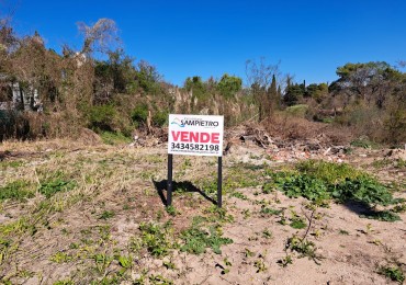 Amplio terreno en calle Echeverria al 2100